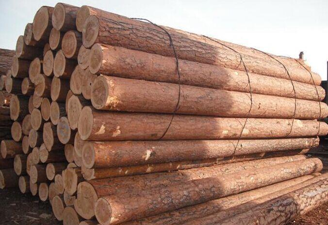 木材进口清关代理公司操作案例分享