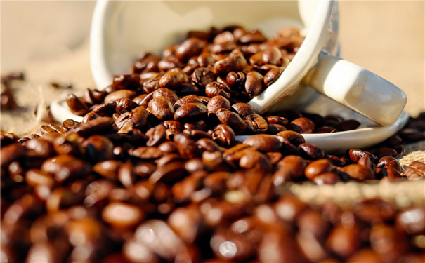 咖啡豆进口报关小插曲,一般贸易进口案例分享