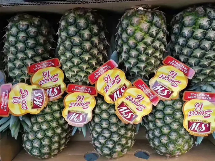 进口菲律宾菠萝报关公司.png