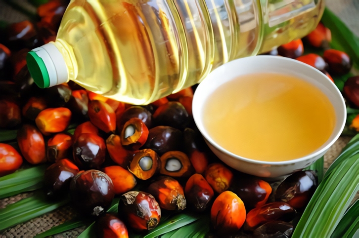 棕榈油进口关税是多少棕榈油进口报关税率